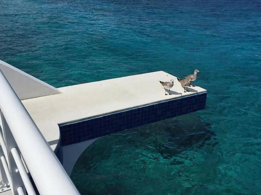 Inspiring And Relaxing Sea View Condo Cozumel Apartamento